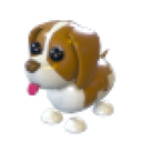 Brown Springer Spaniel